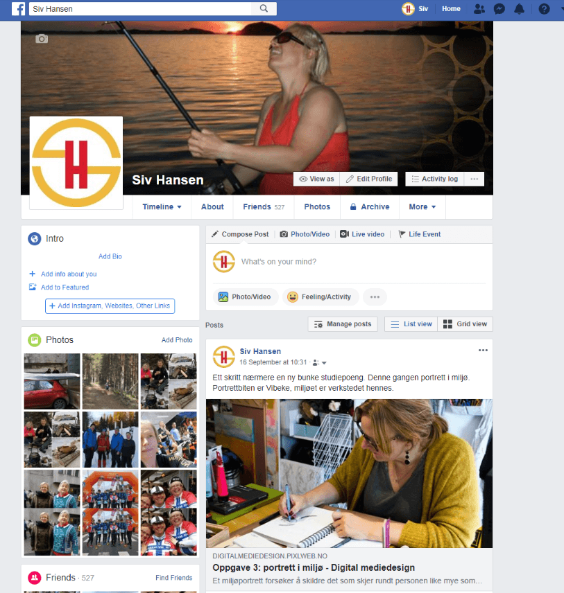 Utsnitt fra Facebookprofilen til Siv Hansen