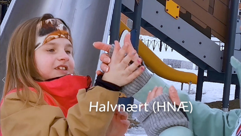 Halvnært bildeutsnitt